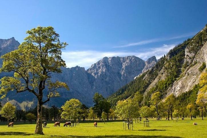 Alpenfreund Mittenwald Exterior foto